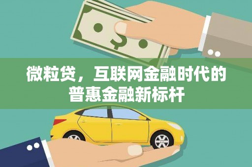 瑞芳微粒贷，互联网金融时代的普惠金融新标杆
