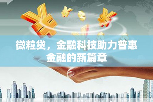 瑞芳微粒贷，金融科技助力普惠金融的新篇章