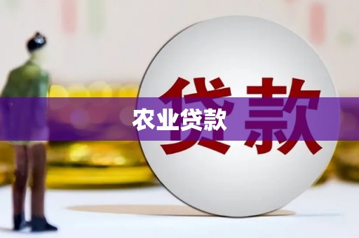 瑞芳农业贷款