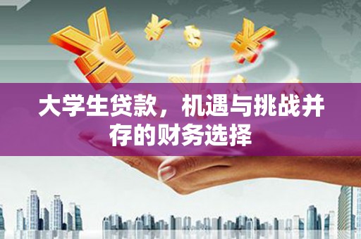 瑞芳大学生贷款，机遇与挑战并存的财务选择