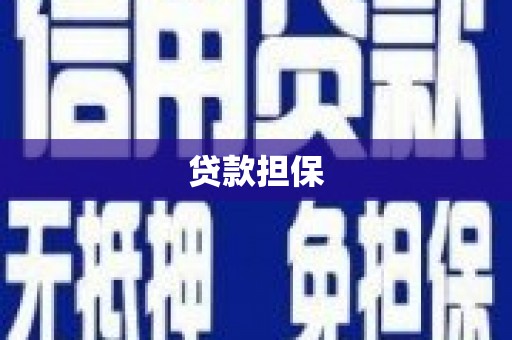 瑞芳贷款担保