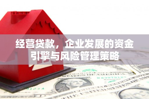瑞芳经营贷款，企业发展的资金引擎与风险管理策略