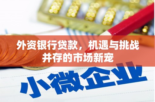 瑞芳外资银行贷款，机遇与挑战并存的市场新宠