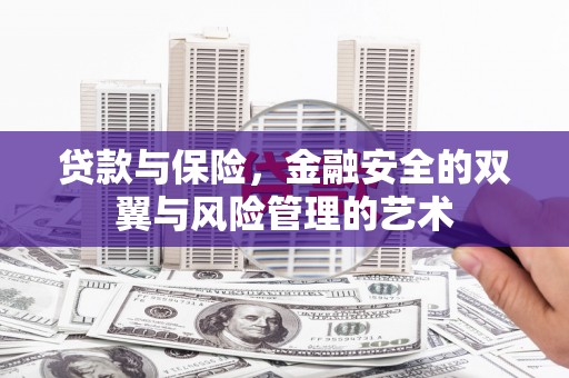 瑞芳贷款与保险，金融安全的双翼与风险管理的艺术