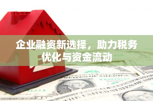 瑞芳企业融资新选择，助力税务优化与资金流动