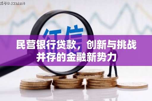 瑞芳民营银行贷款，创新与挑战并存的金融新势力