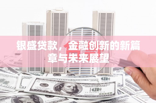 瑞芳银盛贷款，金融创新的新篇章与未来展望