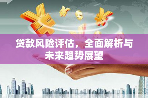 瑞芳贷款风险评估，全面解析与未来趋势展望