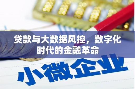 瑞芳贷款与大数据风控，数字化时代的金融革命