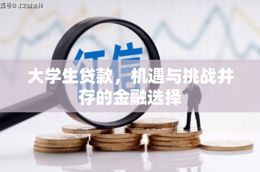 瑞芳大学生贷款，机遇与挑战并存的金融选择
