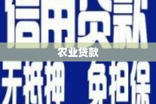 瑞芳农业贷款