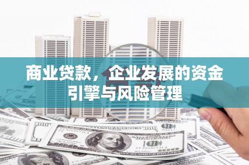 瑞芳商业贷款，企业发展的资金引擎与风险管理