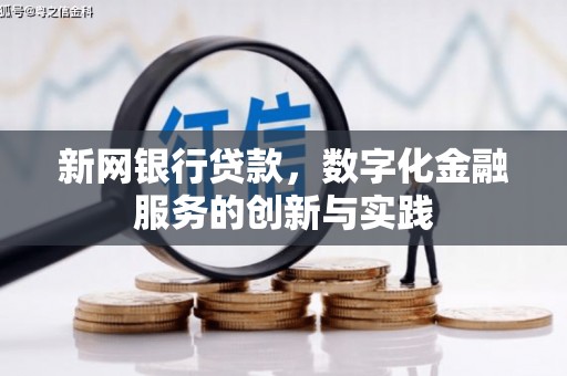 瑞芳新网银行贷款，数字化金融服务的创新与实践