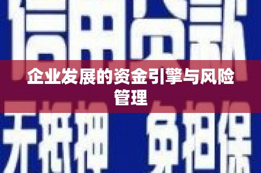瑞芳企业发展的资金引擎与风险管理