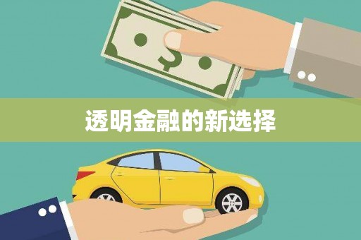 瑞芳透明金融的新选择