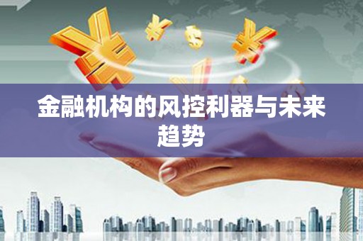 瑞芳金融机构的风控利器与未来趋势