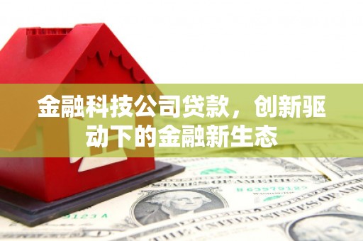 瑞芳金融科技公司贷款，创新驱动下的金融新生态