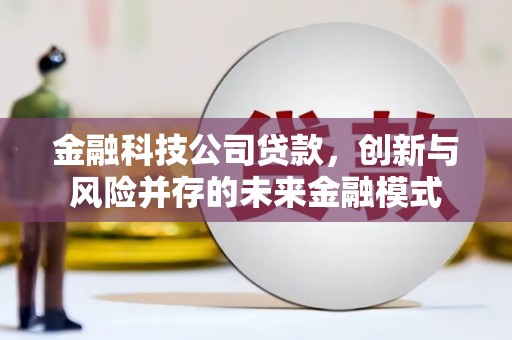 瑞芳金融科技公司贷款，创新与风险并存的未来金融模式
