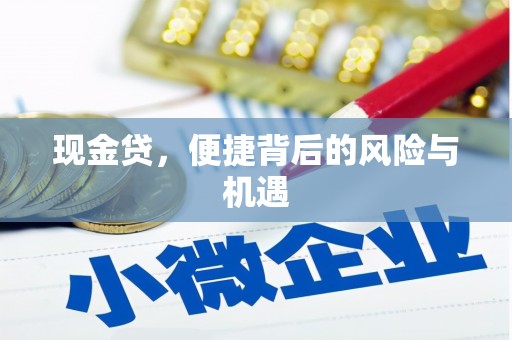 瑞芳现金贷，便捷背后的风险与机遇