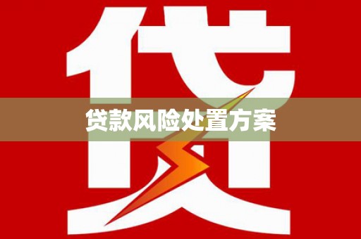 瑞芳贷款风险处置方案