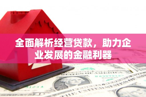 瑞芳全面解析经营贷款，助力企业发展的金融利器