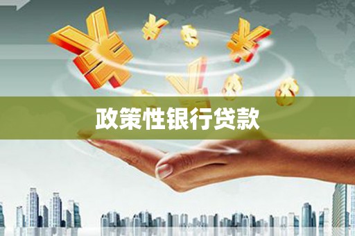 瑞芳政策性银行贷款
