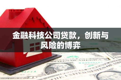 瑞芳金融科技公司贷款，创新与风险的博弈