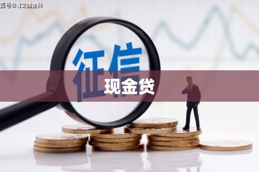 瑞芳现金贷
