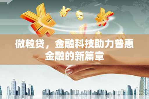 瑞芳微粒贷，金融科技助力普惠金融的新篇章
