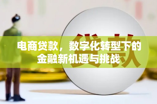 瑞芳电商贷款，数字化转型下的金融新机遇与挑战