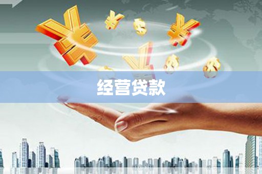瑞芳经营贷款