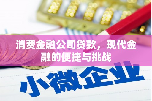 瑞芳消费金融公司贷款，现代金融的便捷与挑战