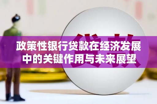 瑞芳政策性银行贷款在经济发展中的关键作用与未来展望