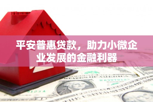 瑞芳平安普惠贷款，助力小微企业发展的金融利器