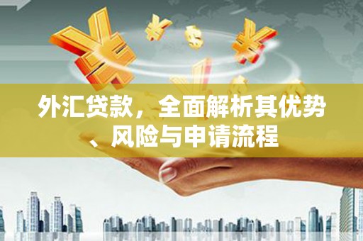 瑞芳外汇贷款，全面解析其优势、风险与申请流程