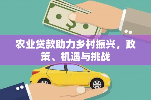 瑞芳农业贷款助力乡村振兴，政策、机遇与挑战