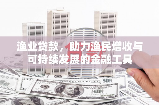 瑞芳渔业贷款，助力渔民增收与可持续发展的金融工具
