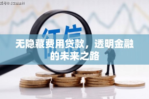 瑞芳无隐藏费用贷款，透明金融的未来之路