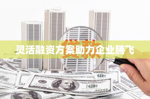 瑞芳灵活融资方案助力企业腾飞