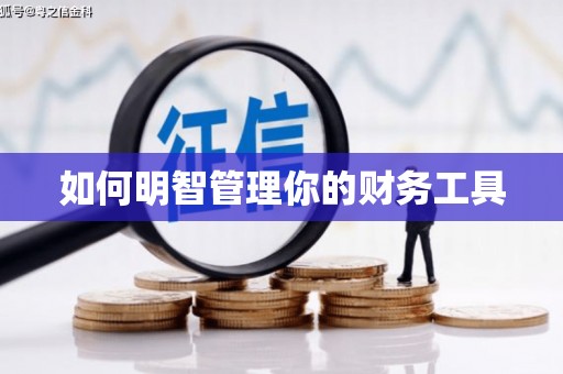 瑞芳如何明智管理你的财务工具
