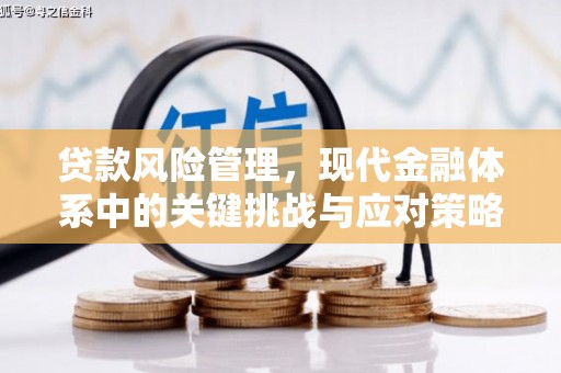 瑞芳贷款风险管理，现代金融体系中的关键挑战与应对策略