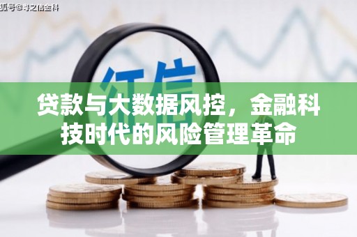 瑞芳贷款与大数据风控，金融科技时代的风险管理革命