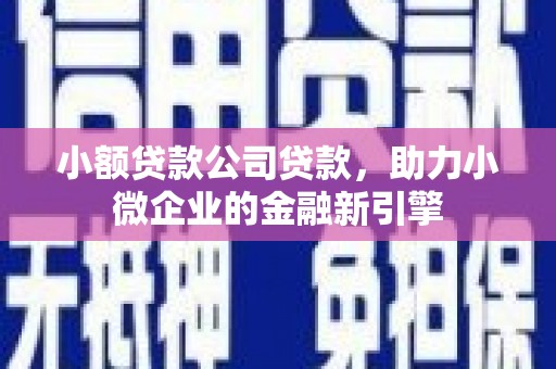 瑞芳小额贷款公司贷款，助力小微企业的金融新引擎