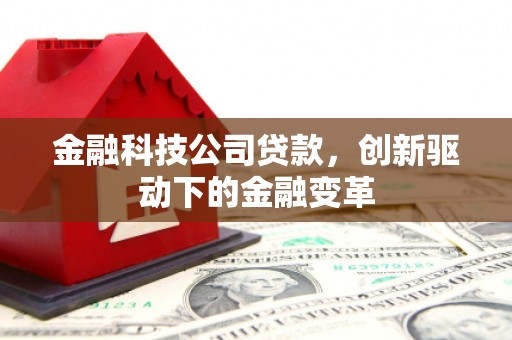 瑞芳金融科技公司贷款，创新驱动下的金融变革