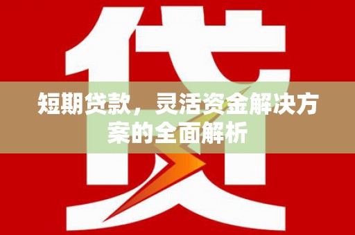 瑞芳短期贷款，灵活资金解决方案的全面解析