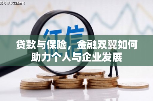 瑞芳贷款与保险，金融双翼如何助力个人与企业发展