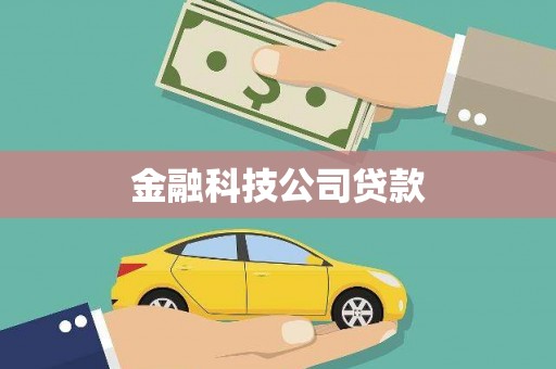 瑞芳金融科技公司贷款