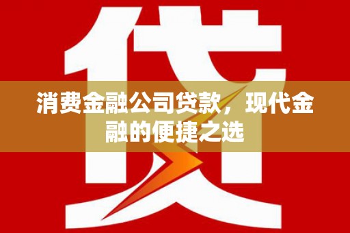 瑞芳消费金融公司贷款，现代金融的便捷之选
