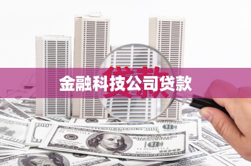 瑞芳金融科技公司贷款