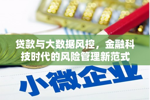 瑞芳贷款与大数据风控，金融科技时代的风险管理新范式